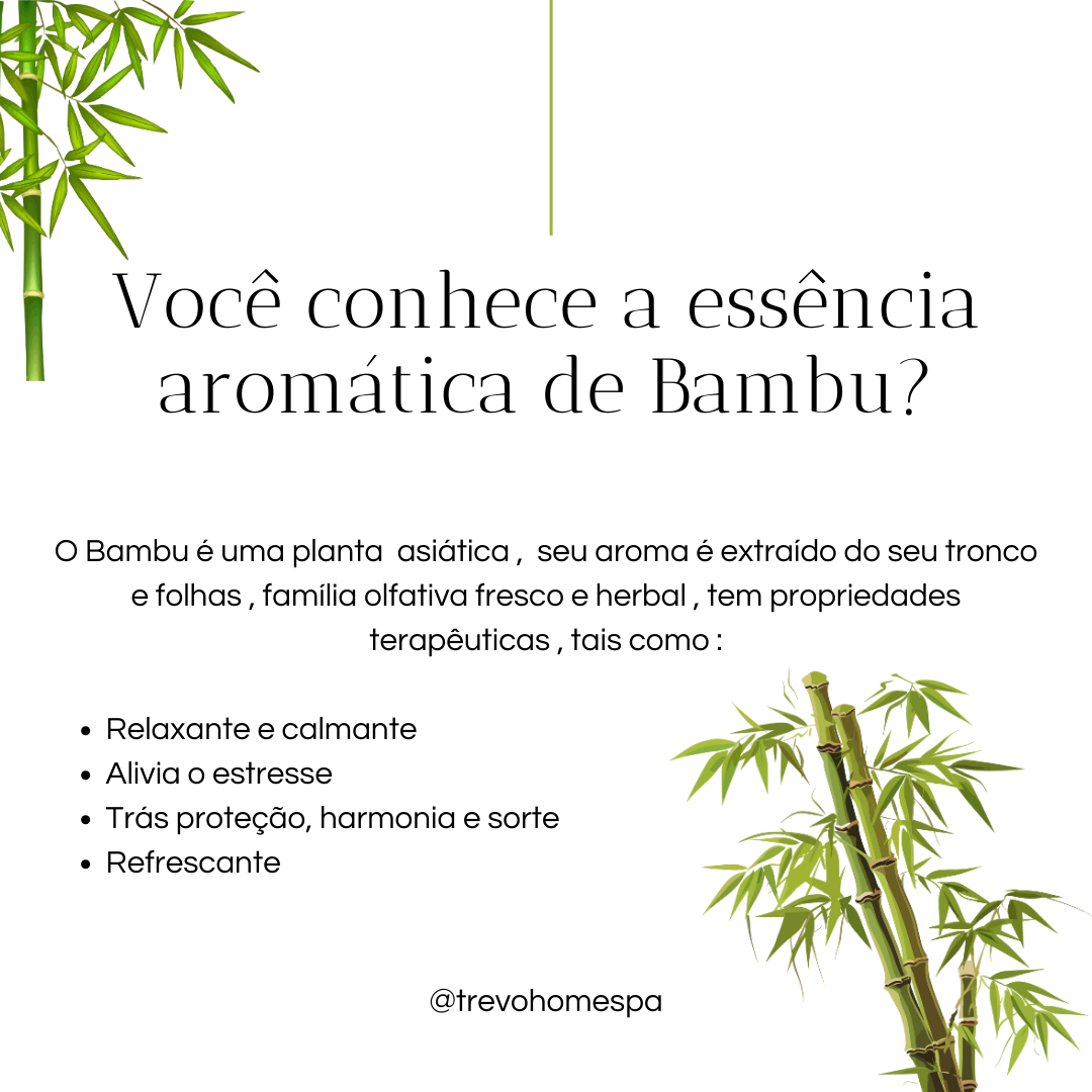 Vela Bambu - Imagem 3